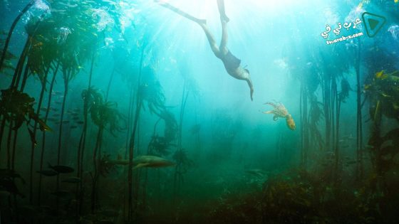 فيلم My Octopus Teacher 2020 مترجم