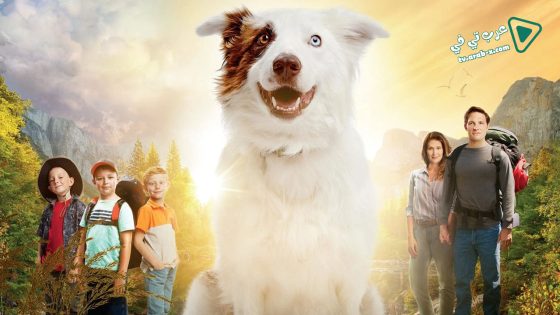 فيلم The Stray 2017 مترجم