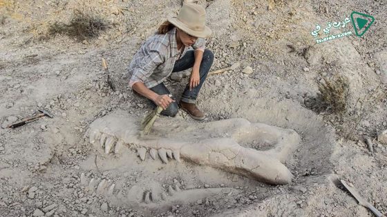 فيلم Valley of Bones 2017 مترجم